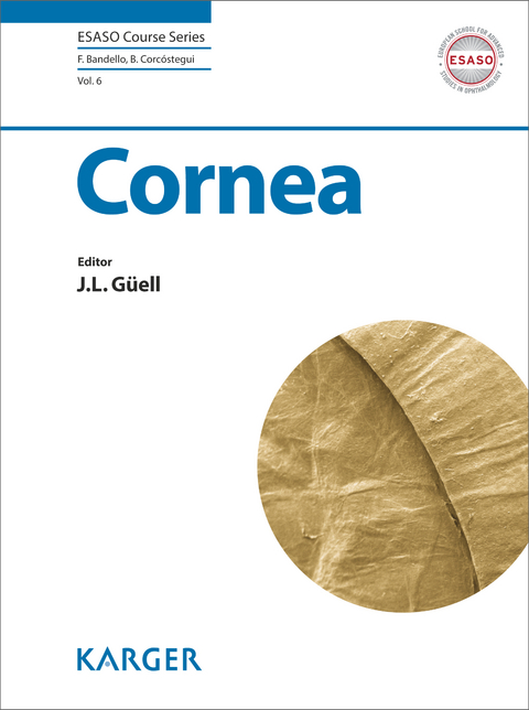 Cornea - 