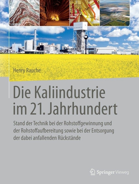 Die Kaliindustrie im 21. Jahrhundert - Henry Rauche