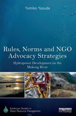 Rules, Norms and NGO Advocacy Strategies -  Yumiko Yasuda