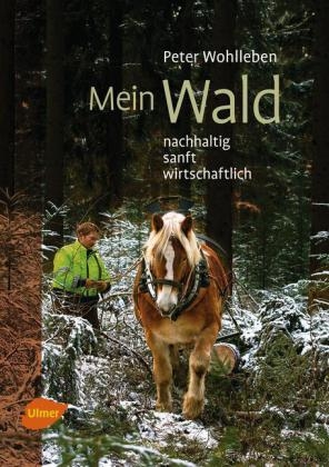 Mein Wald - Peter Wohlleben