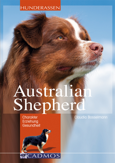 Australian Shepherd - Claudia Bosselmann