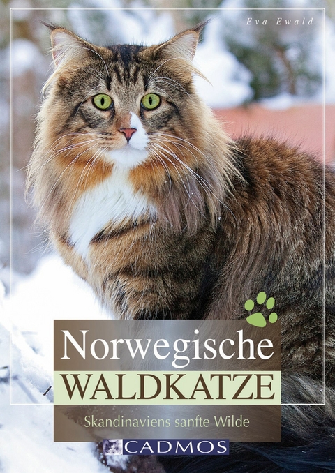 Norwegische Waldkatze - Eva Ewald