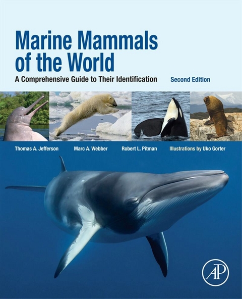 Marine Mammals of the World -  Thomas Allen Jefferson,  Robert L. Pitman,  Marc A. Webber