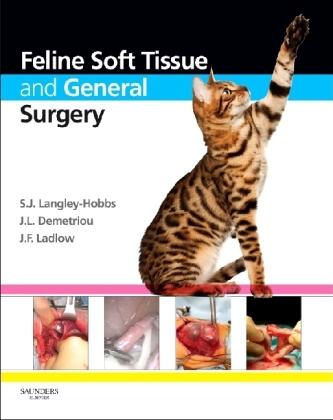 Feline Soft Tissue and General Surgery - 
