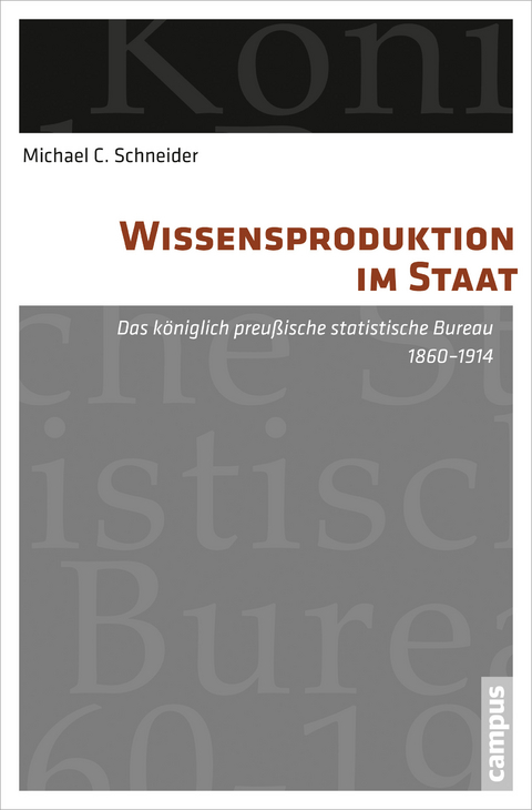 Wissensproduktion im Staat - Michael C. Schneider