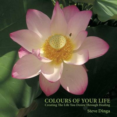 Colours of Your Life - Steve Dinga