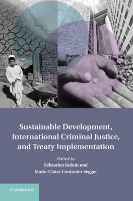 Sustainable Development, International Criminal Justice, and Treaty Implementation - 