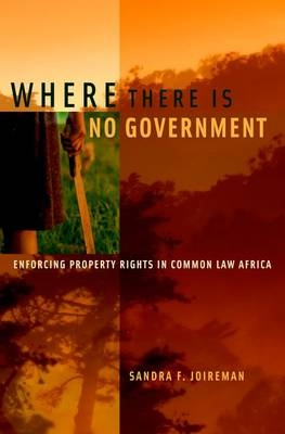 Where There is No Government -  Sandra F. Joireman