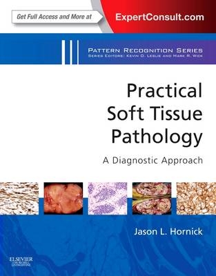 Practical Soft Tissue Pathology: A Diagnostic Approach E-Book - Dr Jason L Hornick