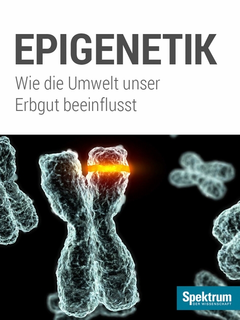 Spektrum Kompakt - Epigenetik - 