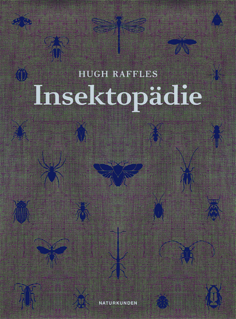 Insektopädie - Hugh Raffles