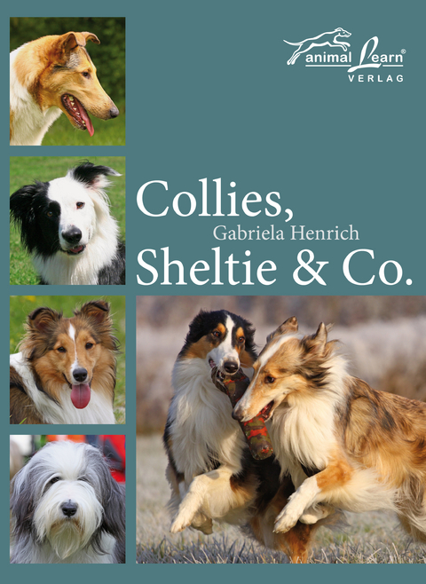 Collies, Sheltie & Co. - Gabriela Henrich