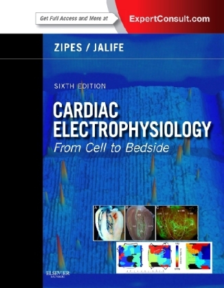 Cardiac Electrophysiology: From Cell to Bedside - Douglas P. Zipes, Jose Jalife