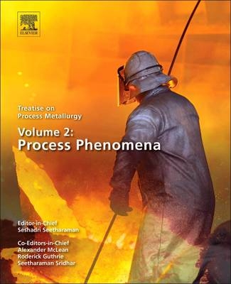 Treatise on Process Metallurgy, Volume 2: Process Phenomena