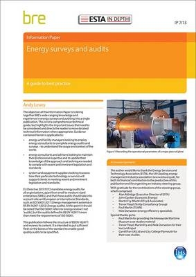 Energy Surveys and Audits: A Guide to Best Practice - Andy Lewry