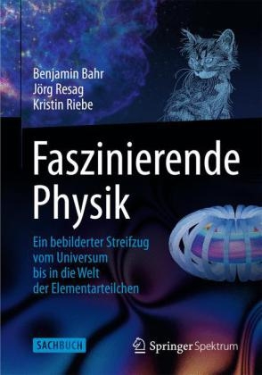 Faszinierende Physik - Benjamin Bahr, Jörg Resag, Kristin Riebe