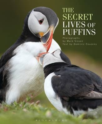 The Secret Lives of Puffins - Dominic Couzens