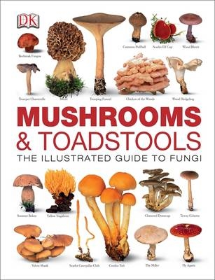 Mushrooms & Toadstools -  Dk