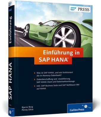 Einführung in SAP HANA - Bjarne Berg, Penny Silvia