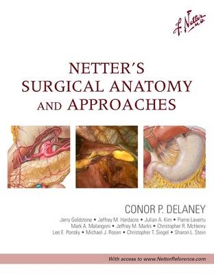 Netter's Surgical Anatomy and Approaches - Conor P Delaney