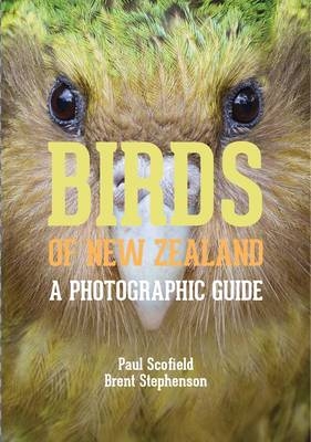 Birds of New Zealand - Paul Scofield, Brent Stephenson