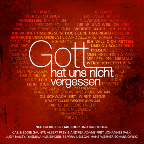 Gott hat uns nicht vergessen -  Various artists