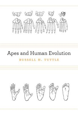 Apes and Human Evolution - Russell H. Tuttle