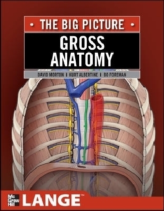 Gross Anatomy: The Big Picture - David Morton, K. Bo Foreman, Kurt Albertine