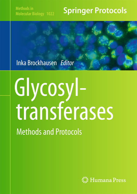 Glycosyltransferases - 