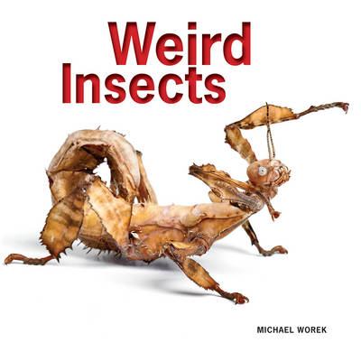 Weird Insects - Michael Worek