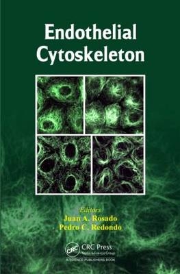 Endothelial Cytoskeleton - 