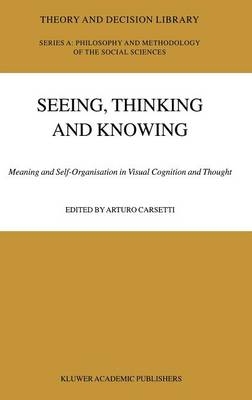 Seeing, Thinking and Knowing - 