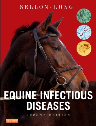 Equine Infectious Diseases - 