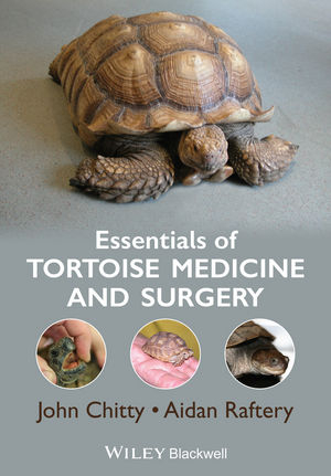 Essentials of Tortoise Medicine and Surgery - John Chitty, Aidan Raftery