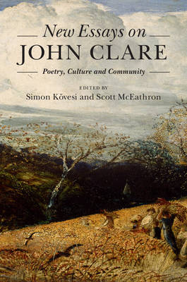 New Essays on John Clare - 