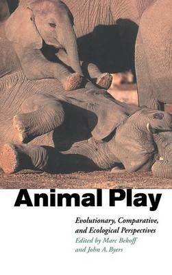 Animal Play - 
