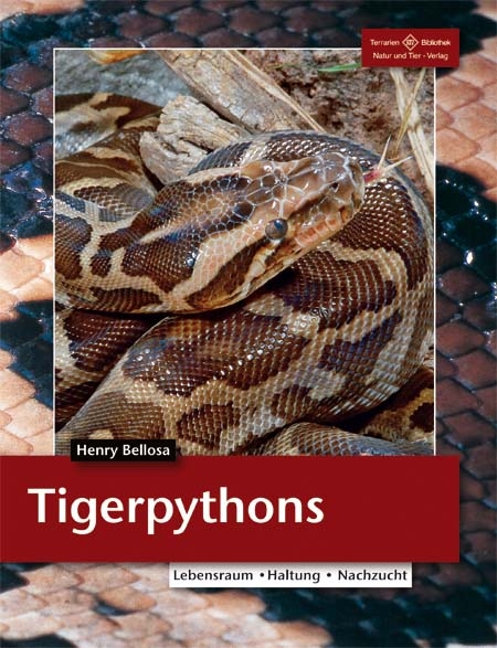 Tigerpythons - Henry Bellosa