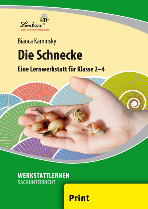 Die Schnecke - Bianca Kaminsky