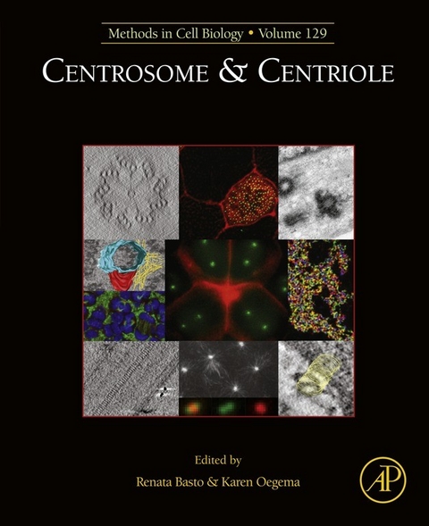 Centrosome and Centriole - 