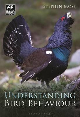 Understanding Bird Behaviour -  Mr Stephen Moss
