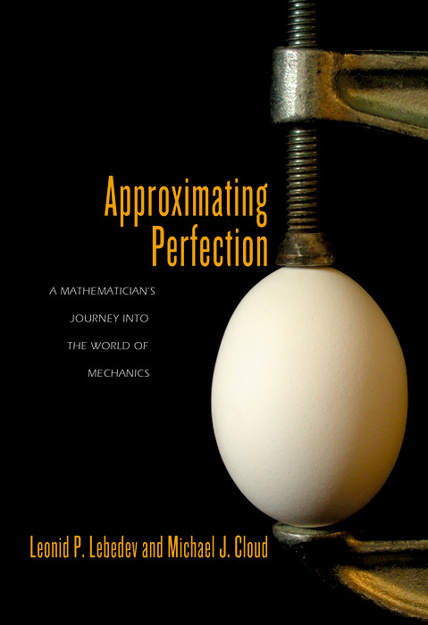 Approximating Perfection - Leonid P. Lebedev, Michael J. Cloud