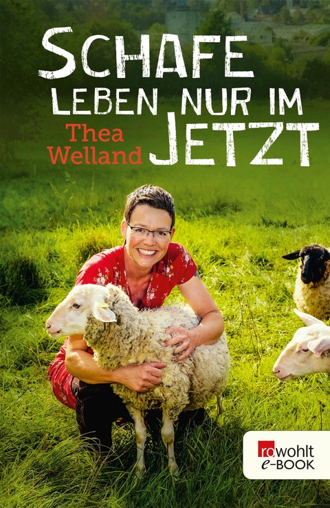 Schafe leben nur im Jetzt -  Thea Welland
