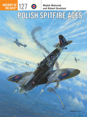 Polish Spitfire Aces -  Wojtek Matusiak