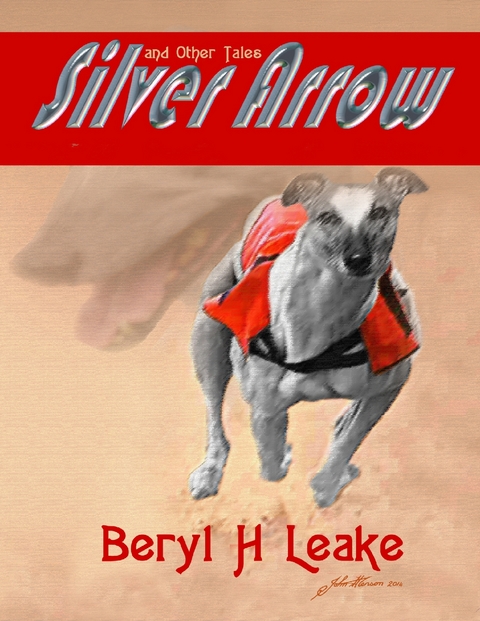 Silver Arrow and Other Tales -  Leake Beryl H Leake