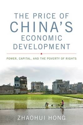 Price of China's Economic Development -  Zhaohui Hong
