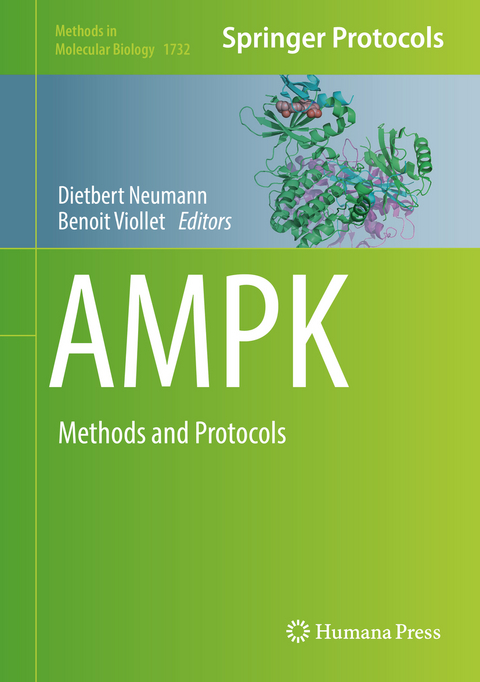 AMPK - 