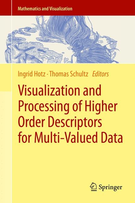 Visualization and Processing of Higher Order Descriptors for Multi-Valued Data - 