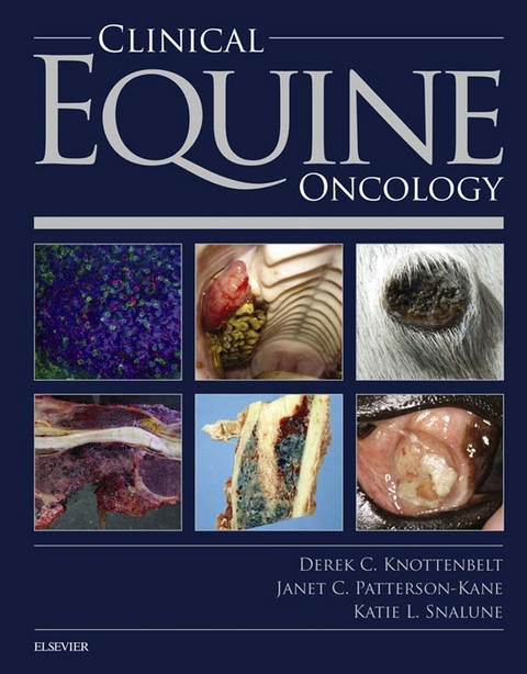 Clinical Equine Oncology -  Janet Patterson Kane,  Derek C. Knottenbelt,  Katie Snalune