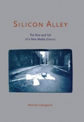Silicon Alley -  Michael Indergaard