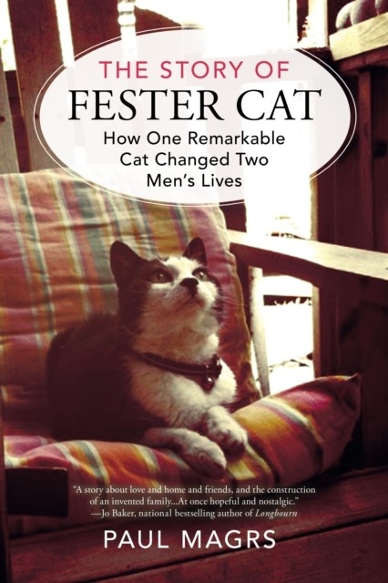 Story of Fester Cat -  Paul Magrs